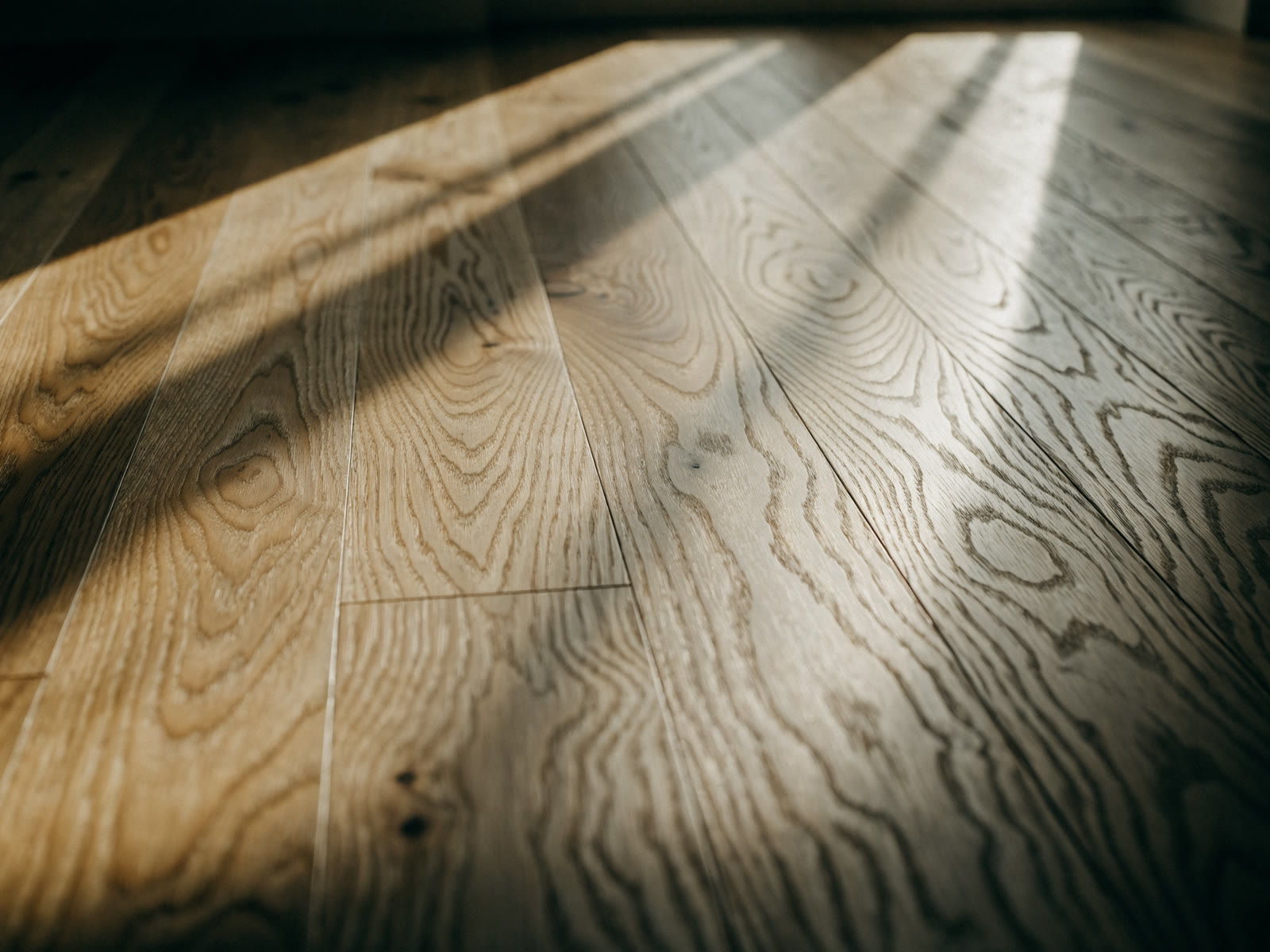 Natural oak hardwood flooring, close-up of the grain in warm light